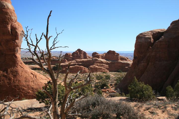 10-Arches 0078.JPG
